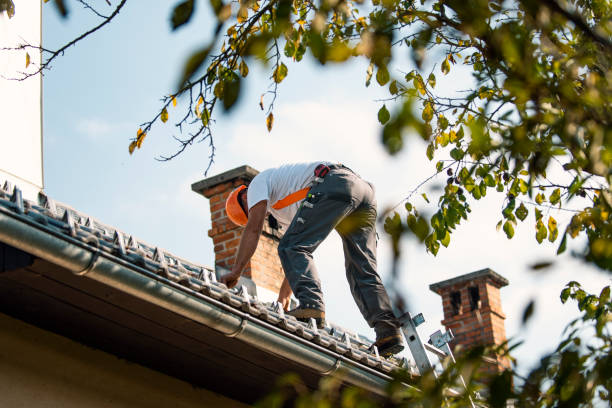 Best Best Roofing Contractors  in Eaton Rapids, MI