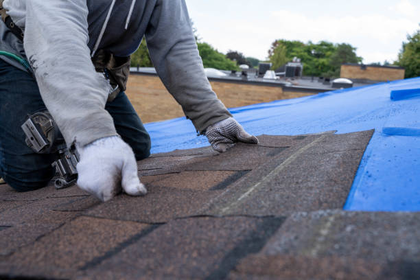 Best Roof Restoration Services  in Eaton Rapids, MI