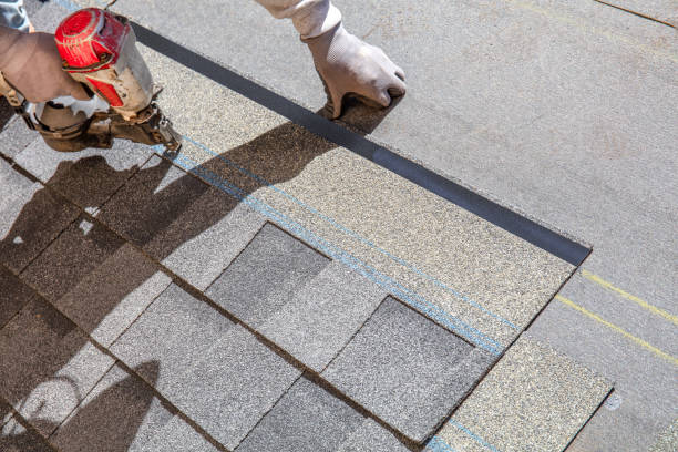 Best Roof Gutter Cleaning  in Eaton Rapids, MI